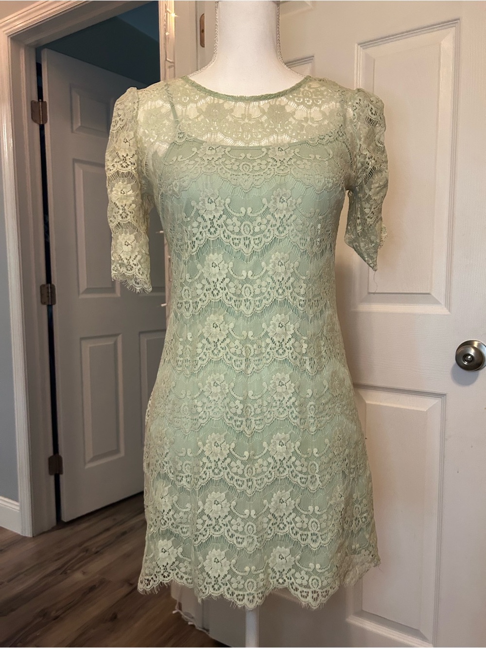Lace Mini Dress in Sage Green